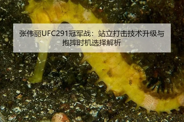 zhang-wei-li-guan-jun-zhan-zhan-li-da-ji-ji-shu-sheng-ji-yu-bao-shuai-shi-ji-xuan-ze-jie-xi-3-215.jpg